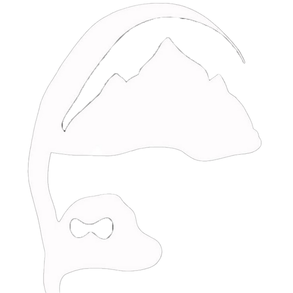 Ape Equipment Gear